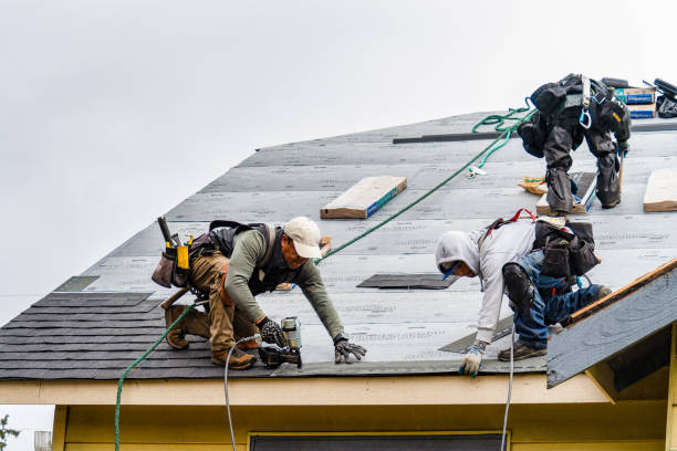 Professional Roofing technician working in New Canton, VA